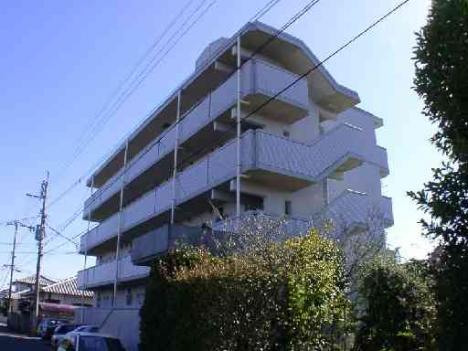 シャトレ田吉 303号室